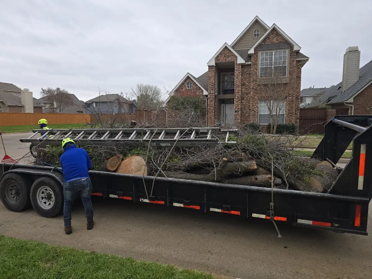 Expert Crown Reduction with proper safety equipment in East Setauket
